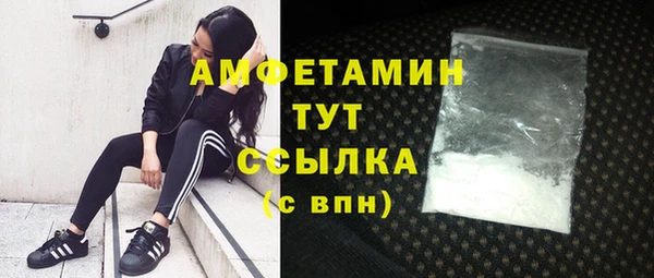 гидра Гусев
