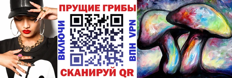Псилоцибиновые грибы Cubensis  где можно купить   ссылка на мегу зеркало  Буинск 